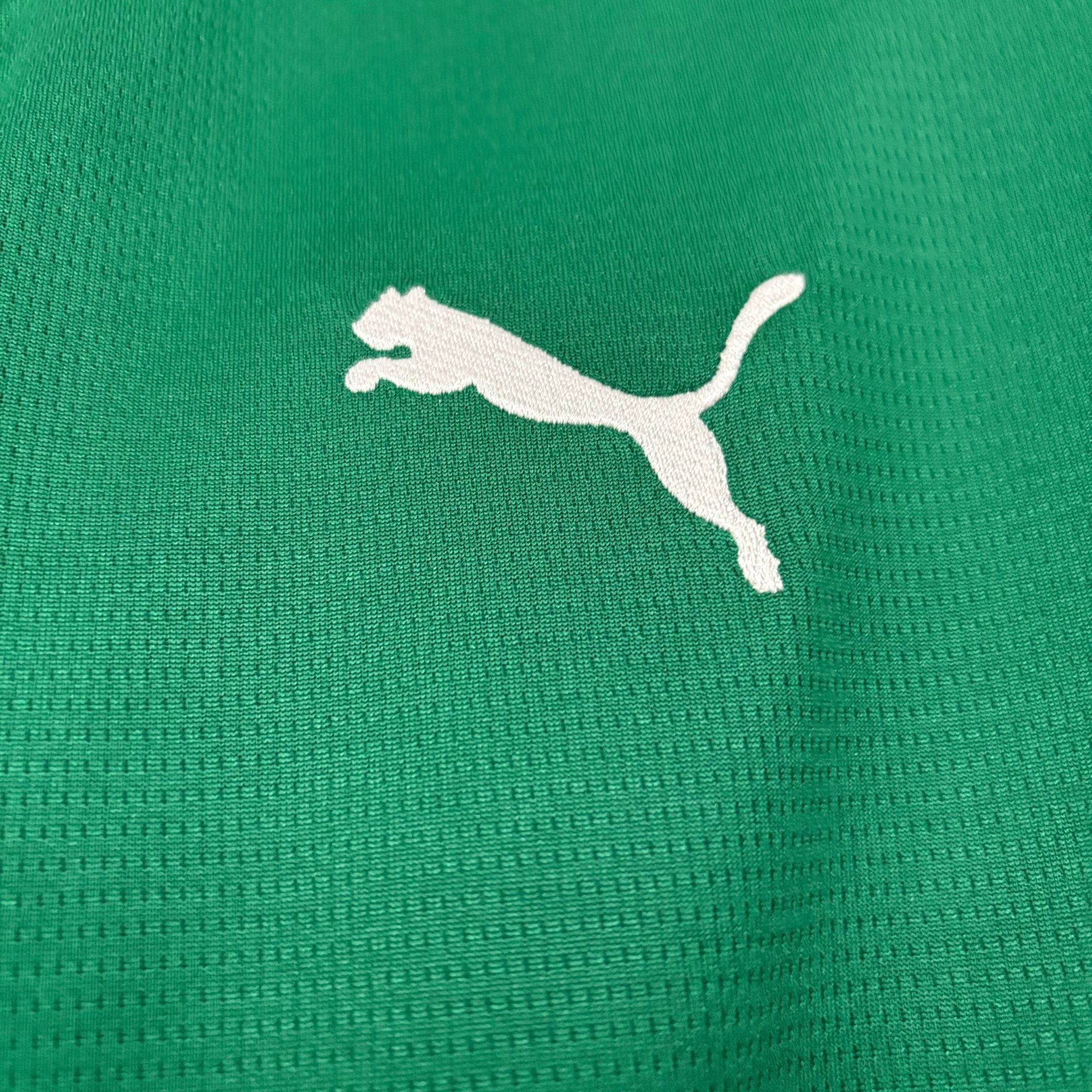 Camisa Palmeiras I 26/27 Torcedor