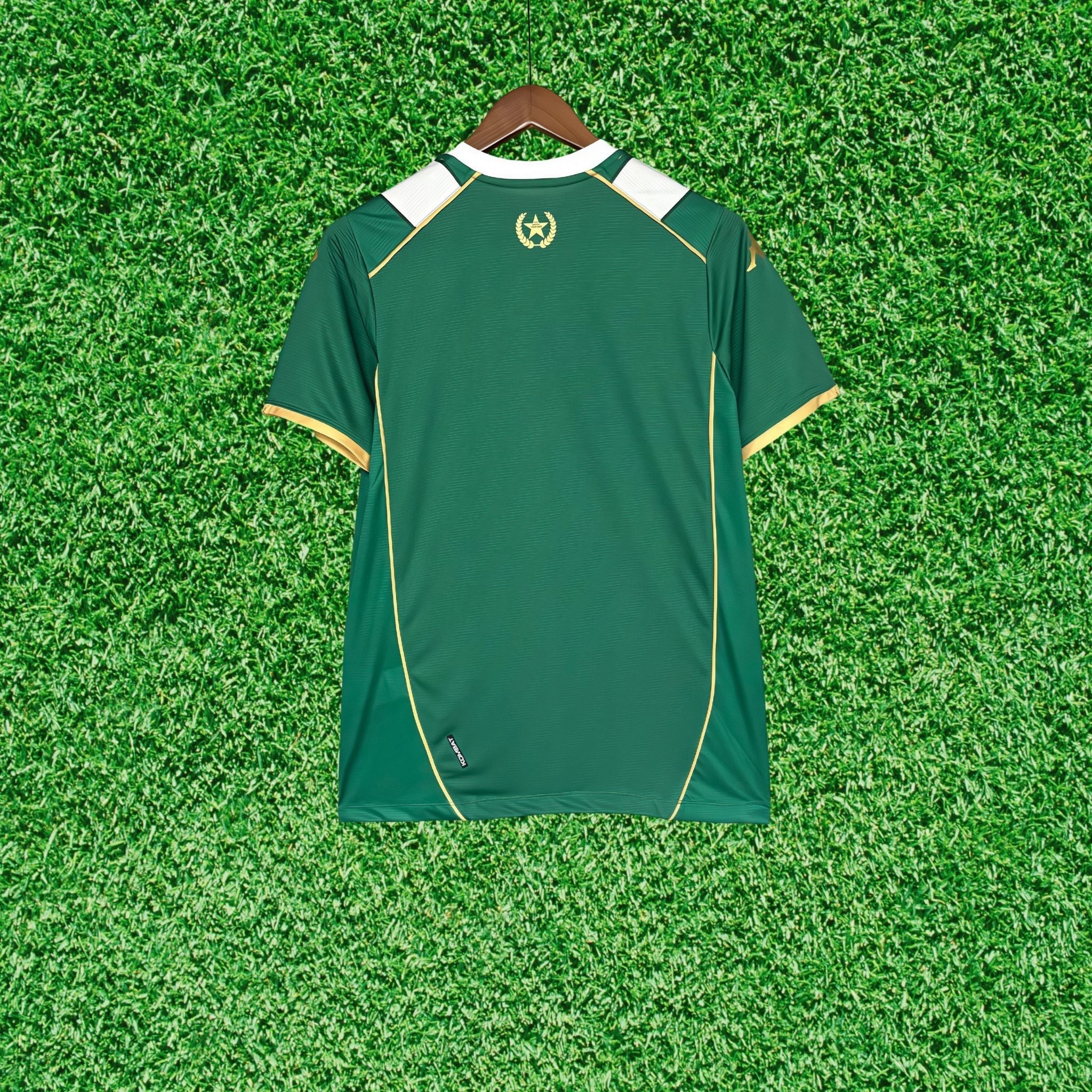 Camisa Chapecoense I 26/27 Torcedor