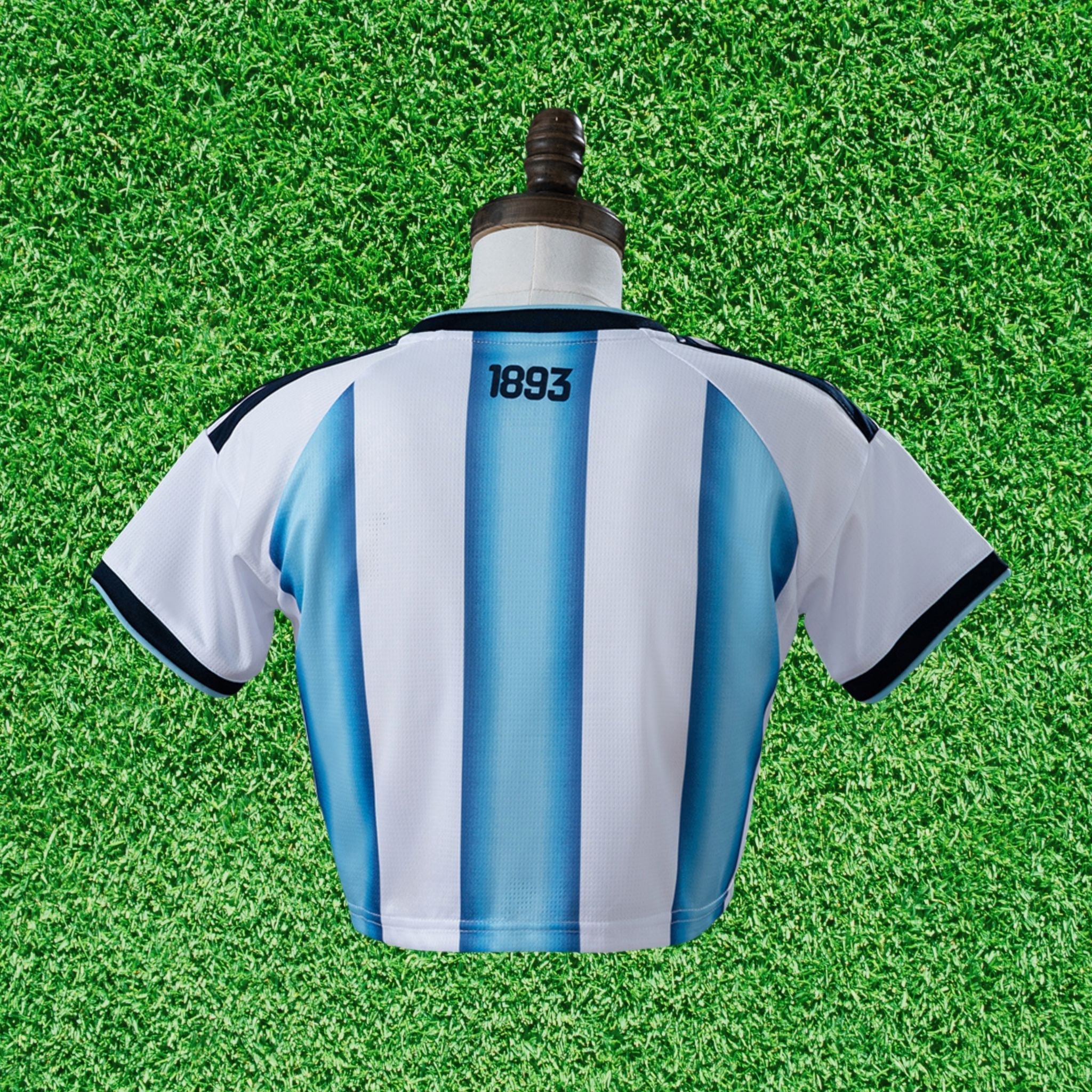 Cropped Argentina I 2026 Torcedor