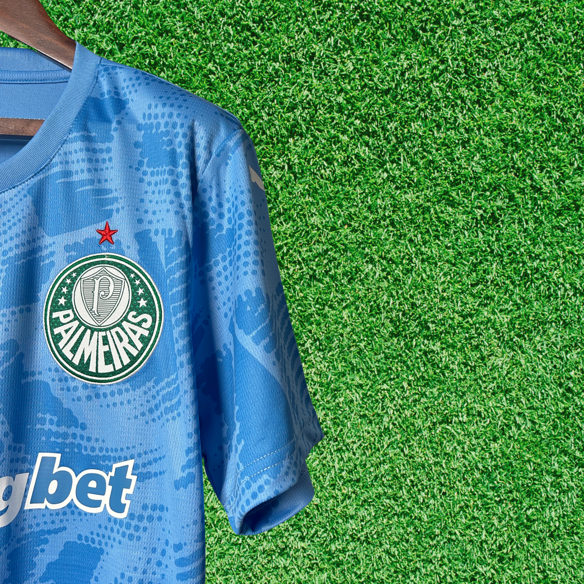 Camisa Palmeiras Goleiro I 25/26 Torcedor