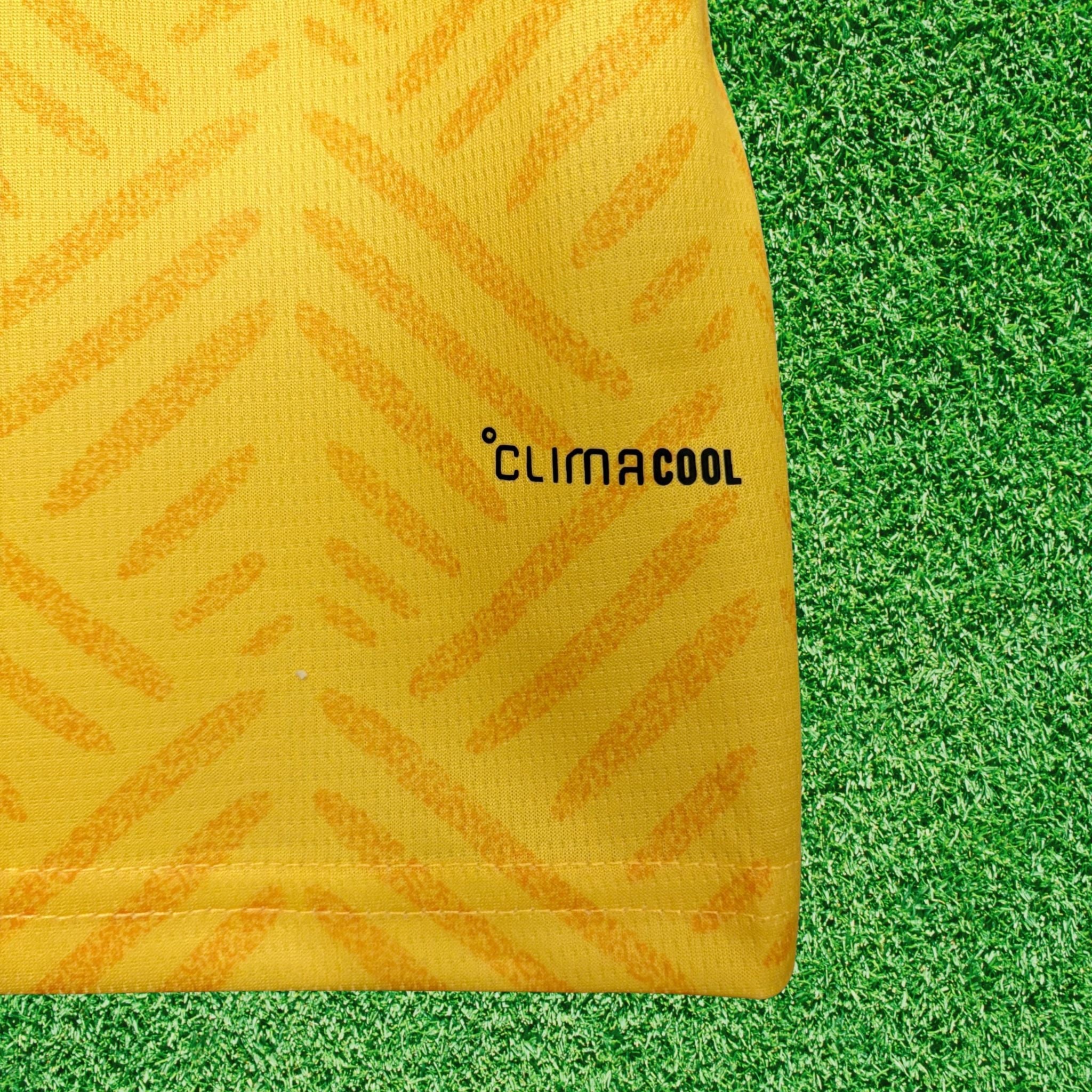 Camisa Africa do Sul I 2026 Torcedor