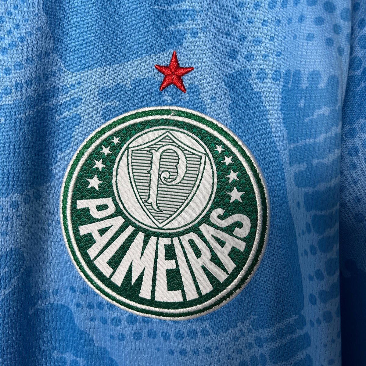 Camisa Palmeiras Goleiro I 25/26 Torcedor