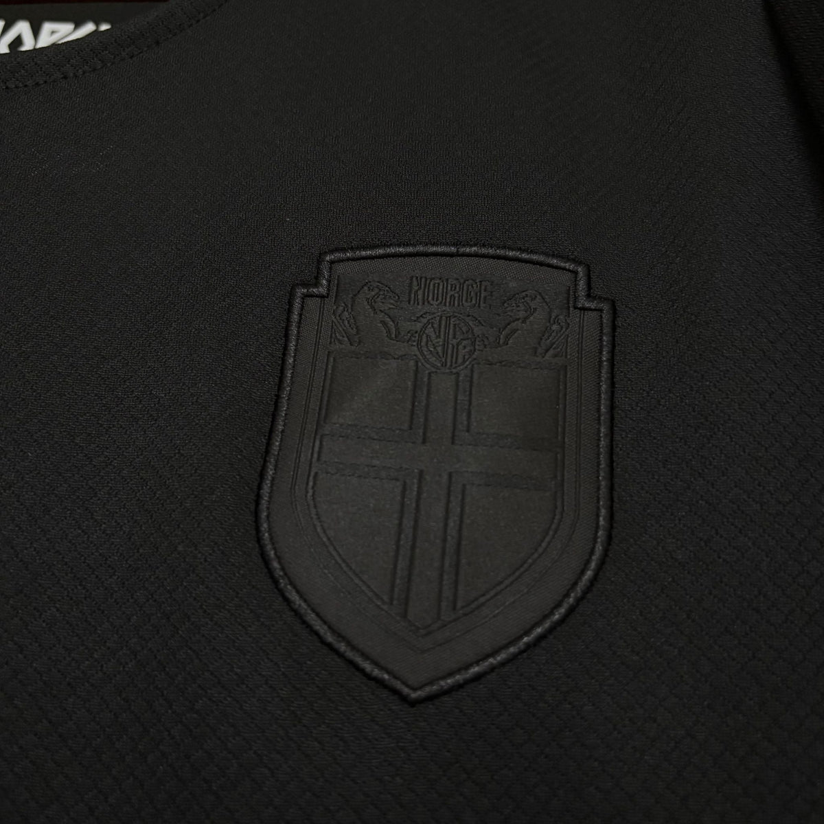 Camisa Noruega II 2026 Torcedor
