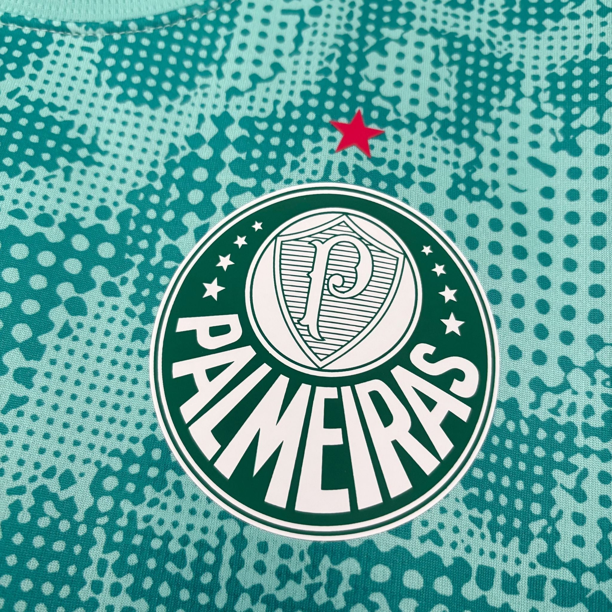 Camisa Palmeiras Treino 26/27 Torcedor