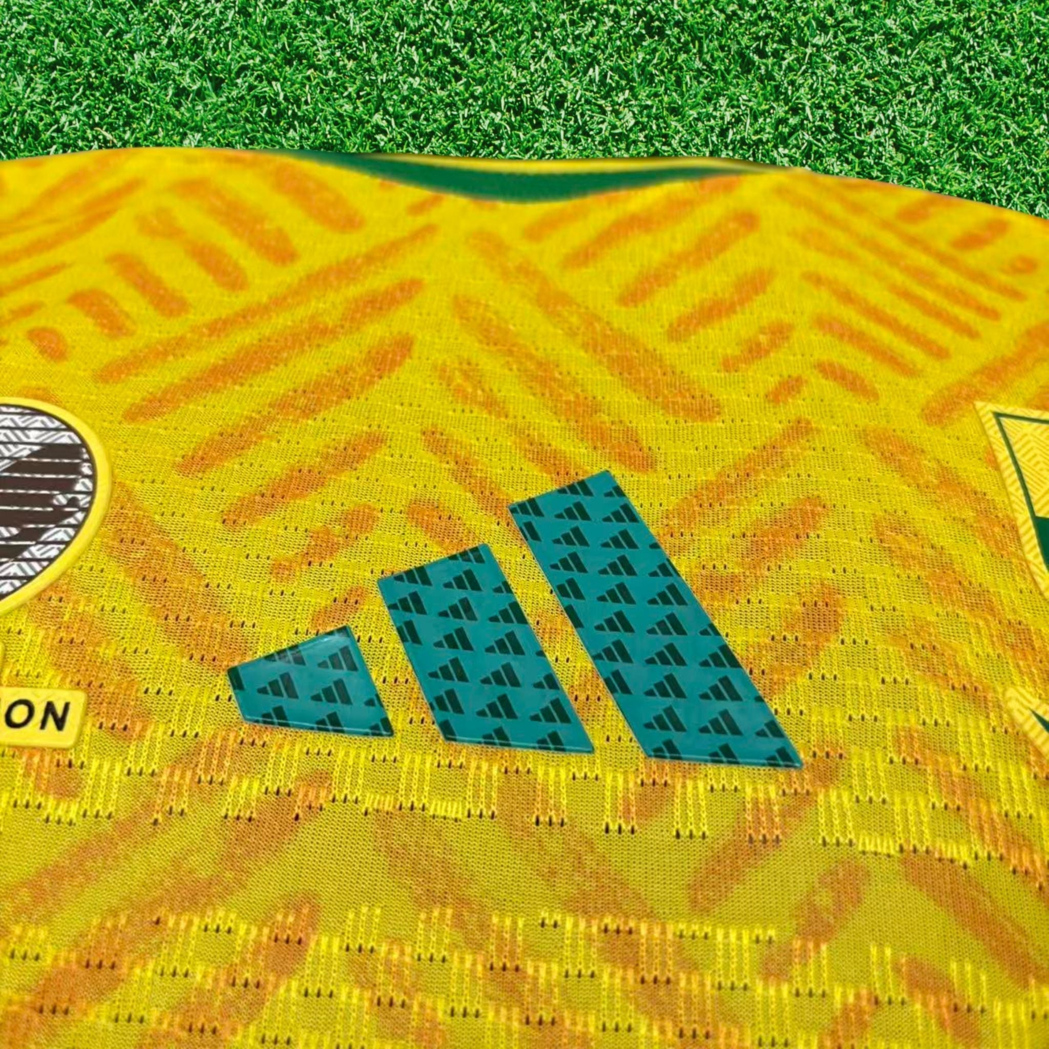 Camisa Africa do Sul I 2026 Jogador