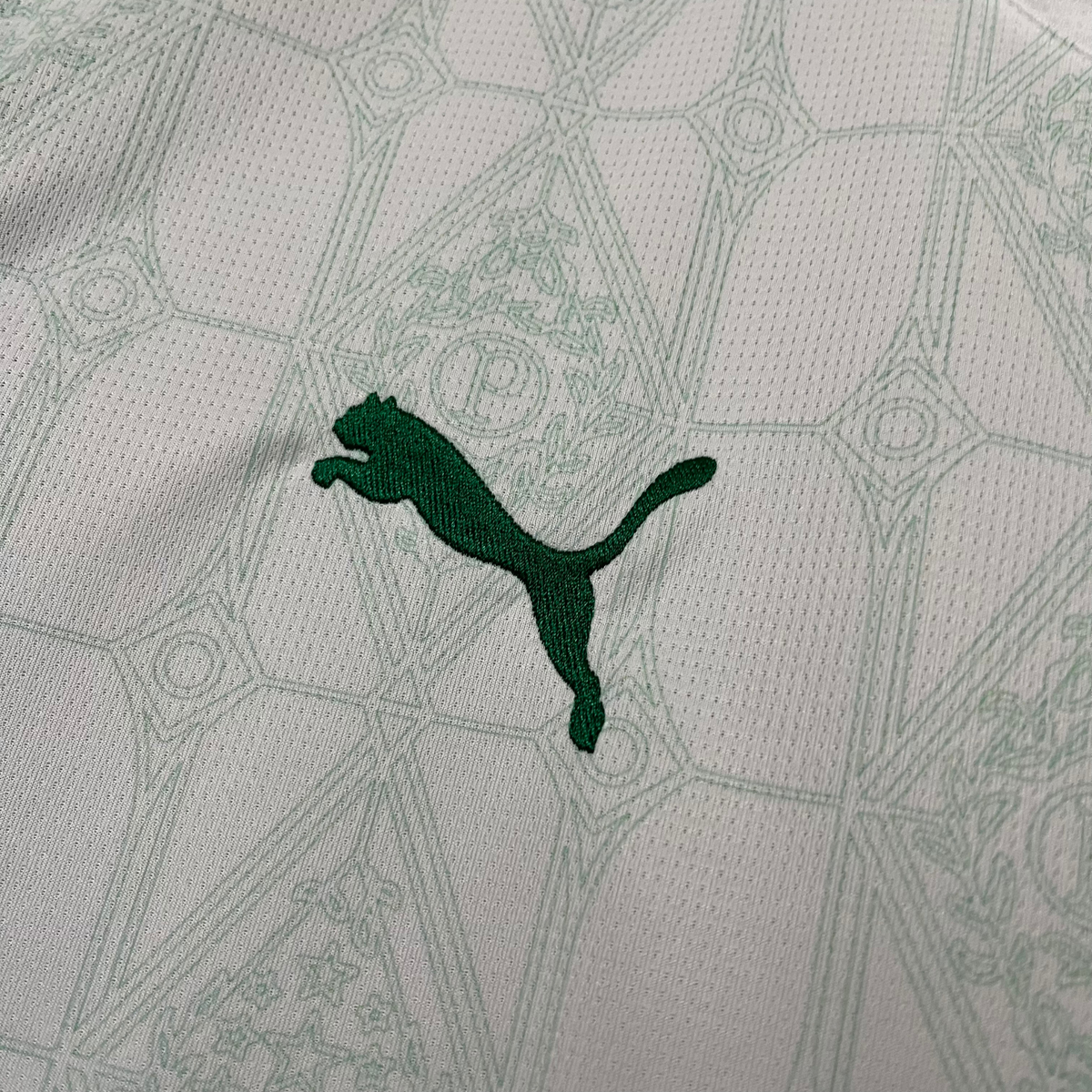 Camisa Palmeiras II 25/26 Torcedor