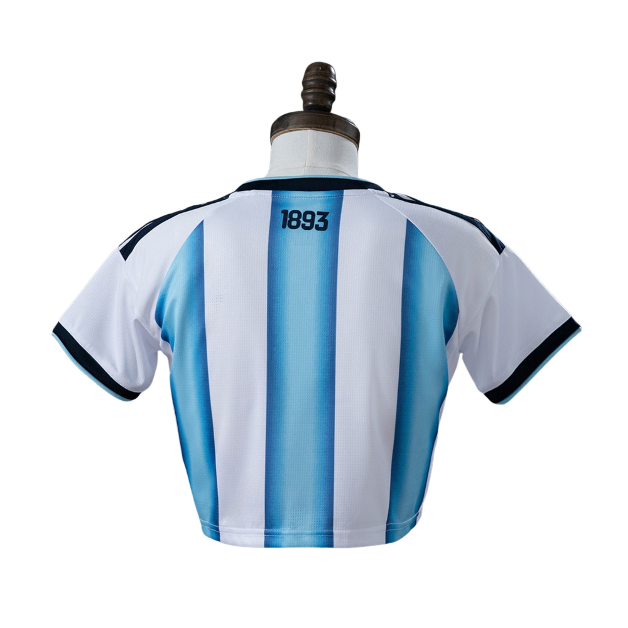 Cropped Argentina I 2026 Torcedor