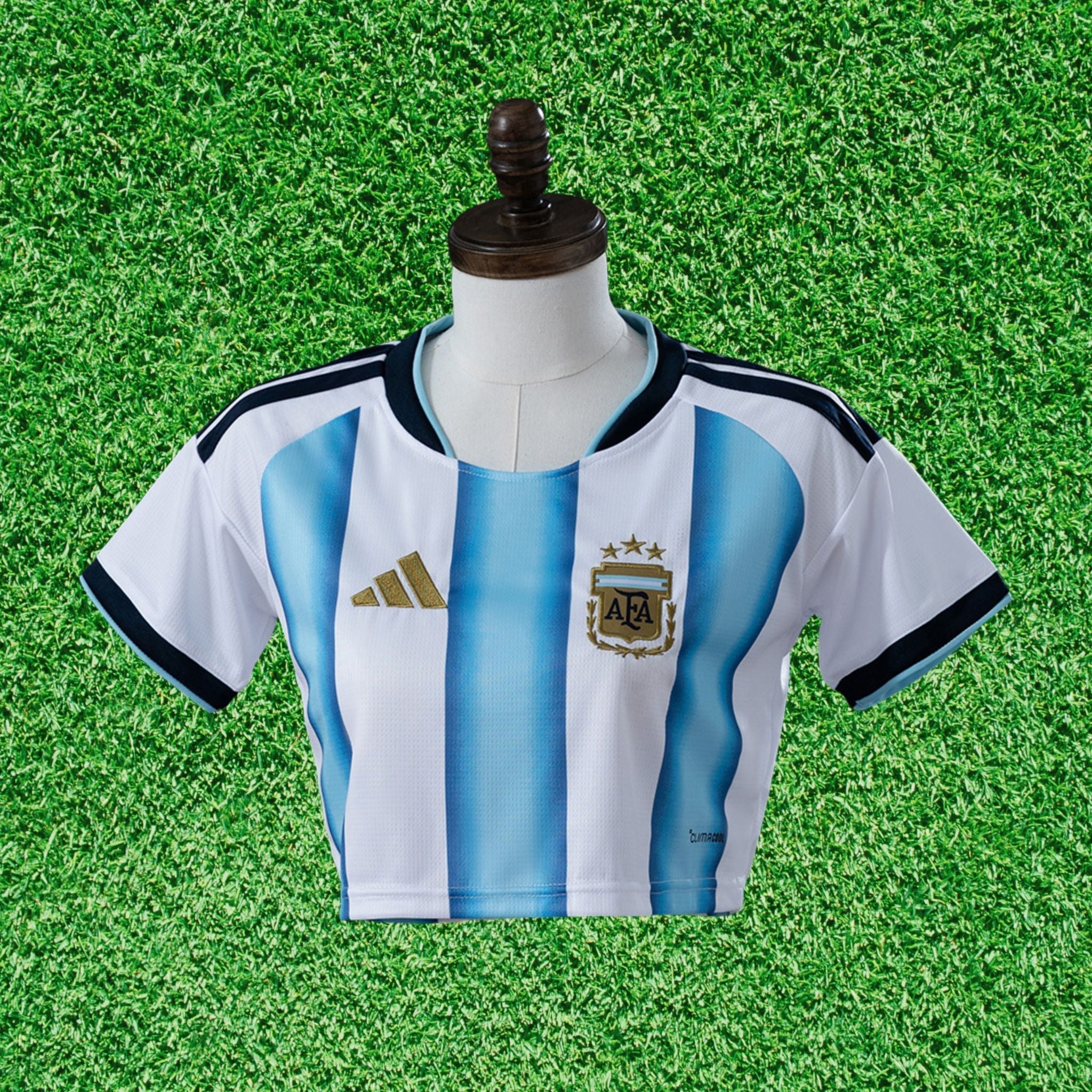 Cropped Argentina I 2026 Torcedor