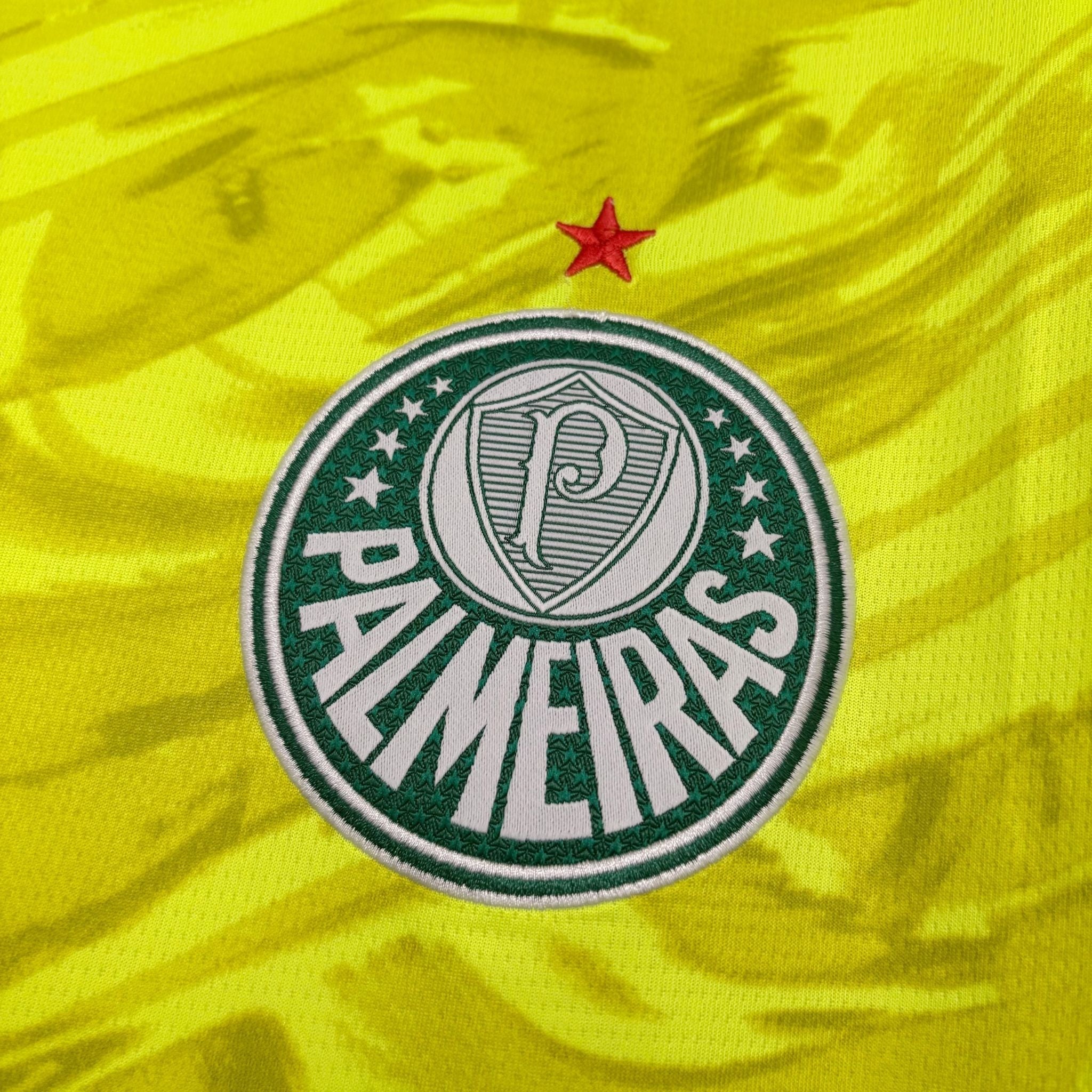 Camisa Palmeiras Goleiro II 26/27 Torcedor