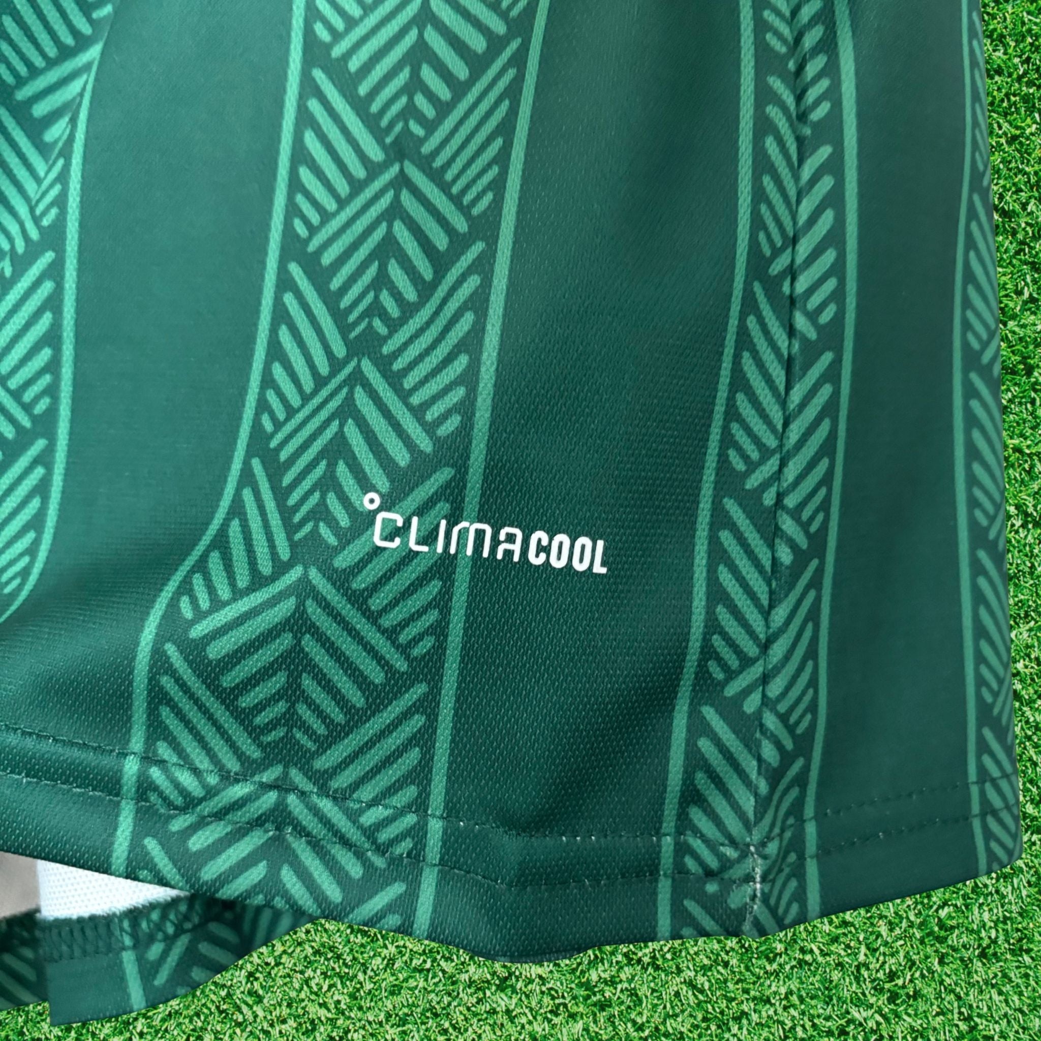 Camisa Africa do Sul II 2026 Torcedor